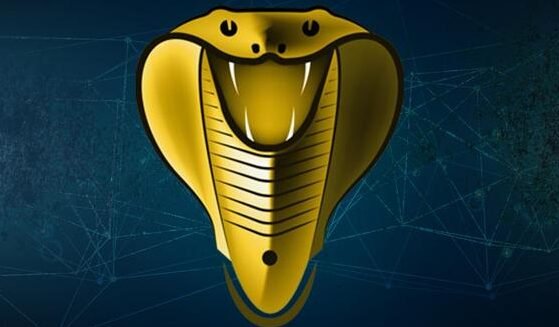 تحميل برنامج كوبرا بلس للكمبيوتر Cobra plus.1.0.0.PC.2026 اخر اصدار 1