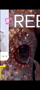 تحميل تمبلر للايفون Tumblr.33.3.IOS.2026 اخر اصدار 2