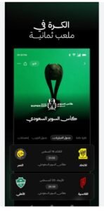 تحميل تطبيق ثمانية للكمبيوتر Thmanyah.PC.2026 اخر اصدار 4